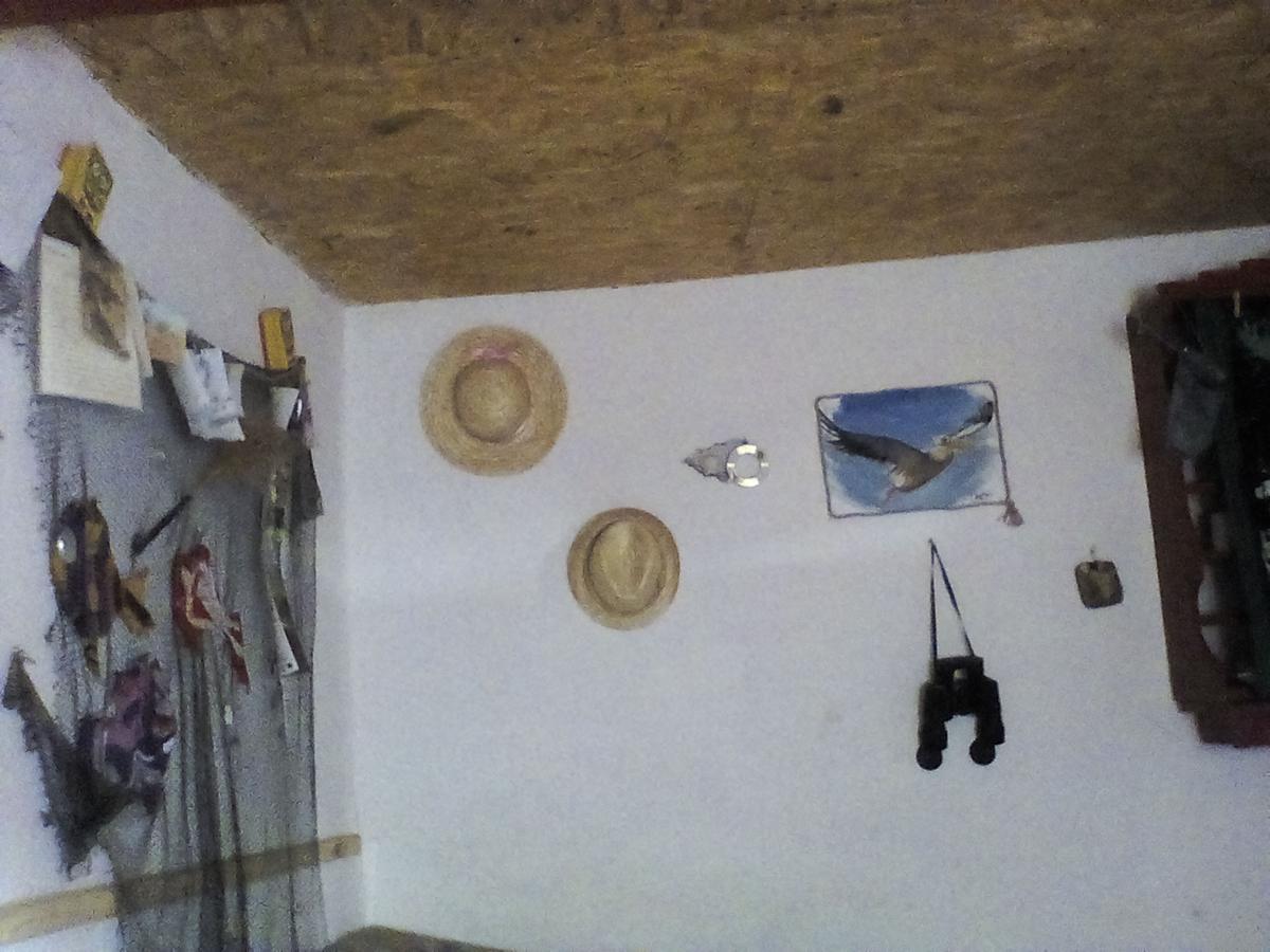 Casa Delta 106 Hotell Sfântu Gheorghe Exteriör bild
